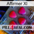 Affirm Xl 13